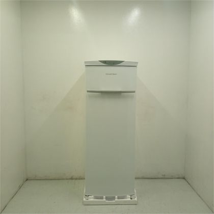 Freezer Vertical Brastemp Flex Frost Free 228 Litros - BVR28NBAS2_WOTIMO_JE5597347 110V