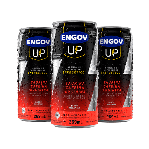 Kit Engov Up Melancia 03 Unidades 269ml